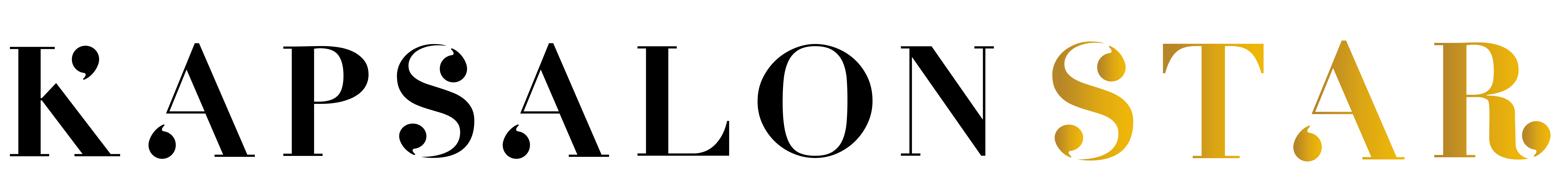 black horizontal Logo Kapsalon Star