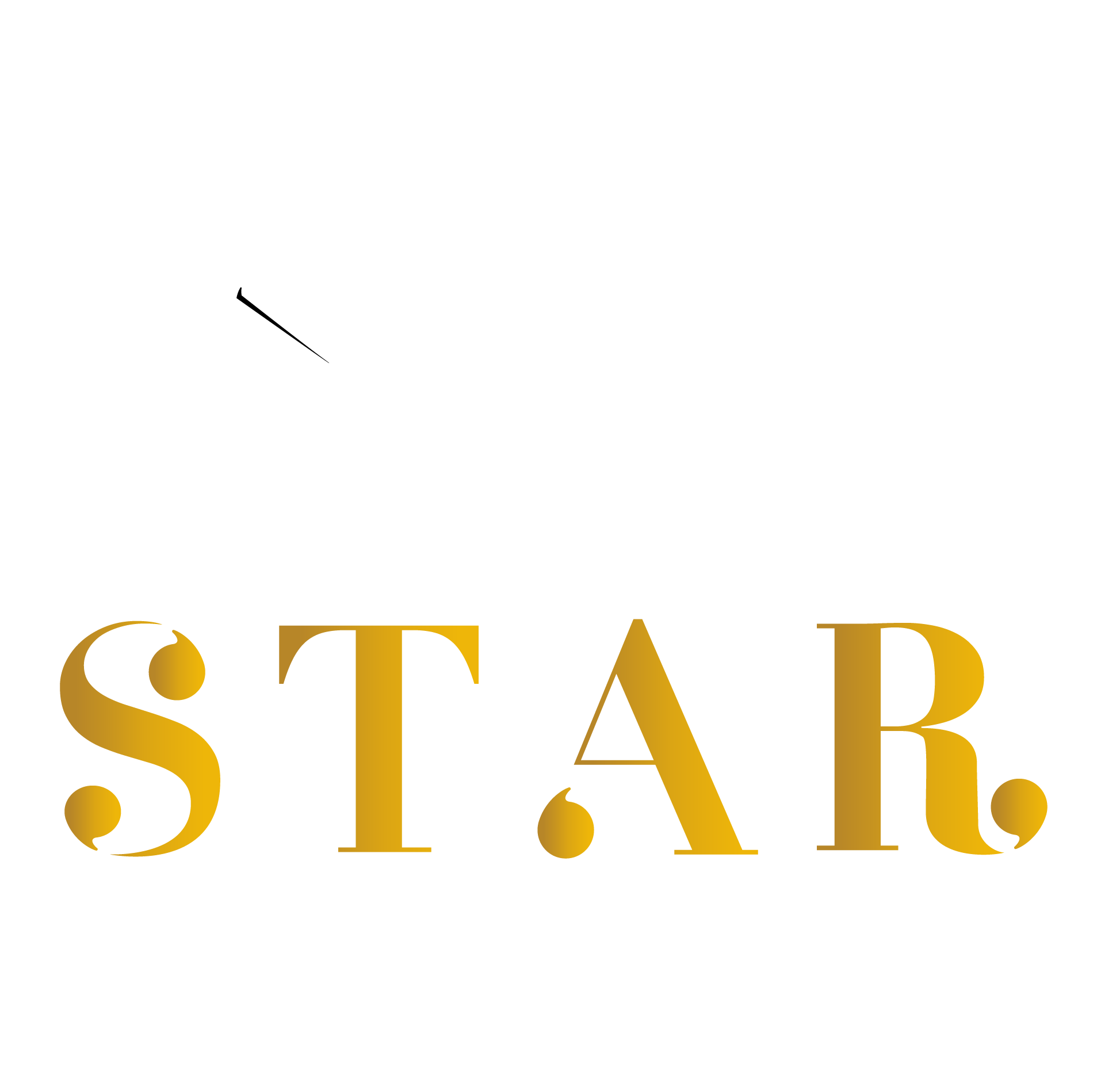 Wit Logo Kapsalon Star